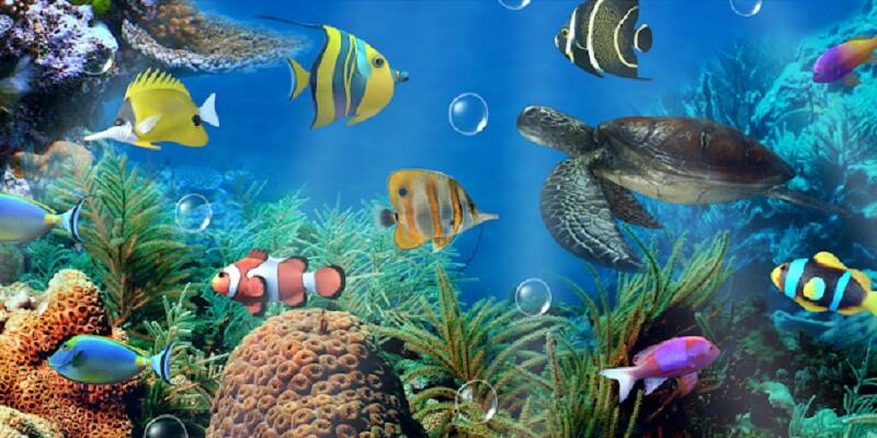 Abu Dhabi to future largest aquarium gcw