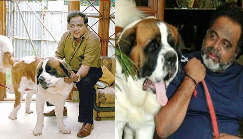 Ambareesh pet dogs are mourning at JP nagar house