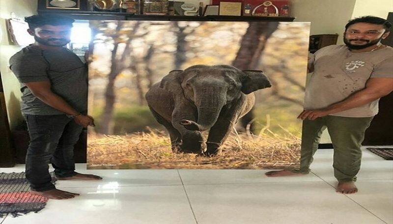 Actor Chikkanna Bought Elephant Photo captured By Challenging Star Darshan