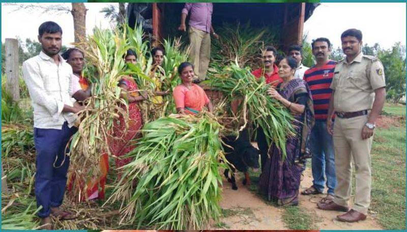 Sandalwood veteran actor Leelavathi donates Cow Food To Flood Hit Areas