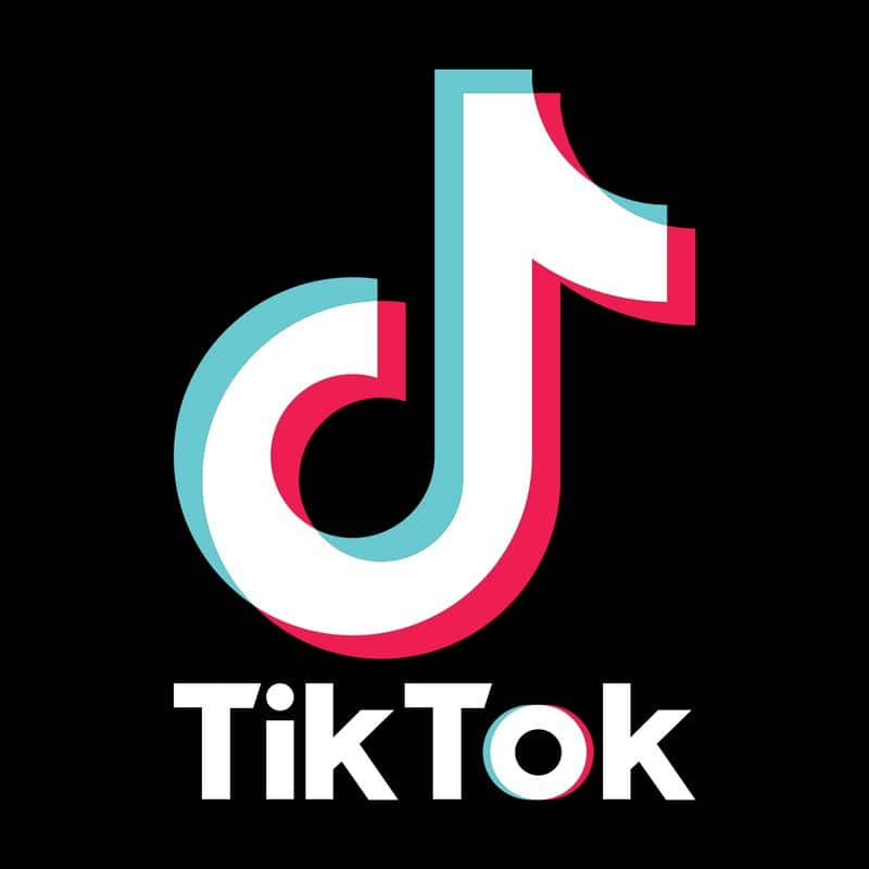 Mother of Three Minor Children Moves Bombay HC seeking ban on Tiktok Mobile app