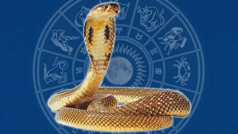 nag panchami 2023 date puja vidhi significance kaal sarp dosh or sarp dash remedies suh