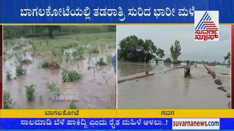 Bagalkot Gadag Heavy Rain Damage Onion Crops