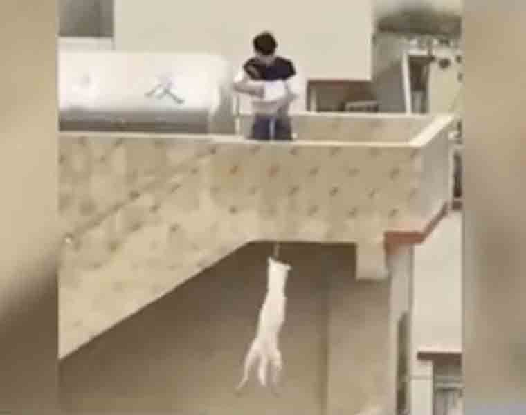 Man hangs dog to death for fun, laughs at woman who asks him to stop