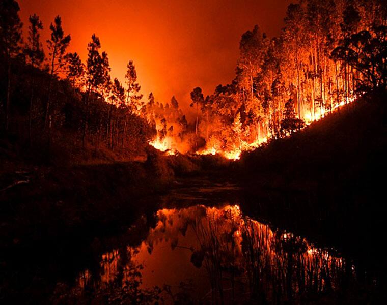 Wildfire in central Portugal kills 61 people burnt to death in their cars while trying to escape