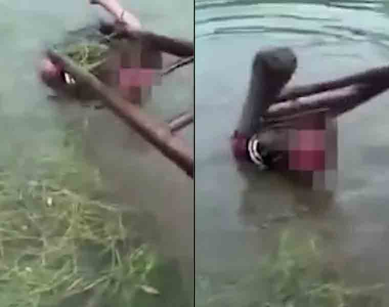 Horrifying: Dad dunks his son in pond to teach him a lesson