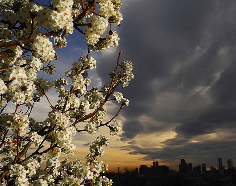 World celebrates the arrival of spring season