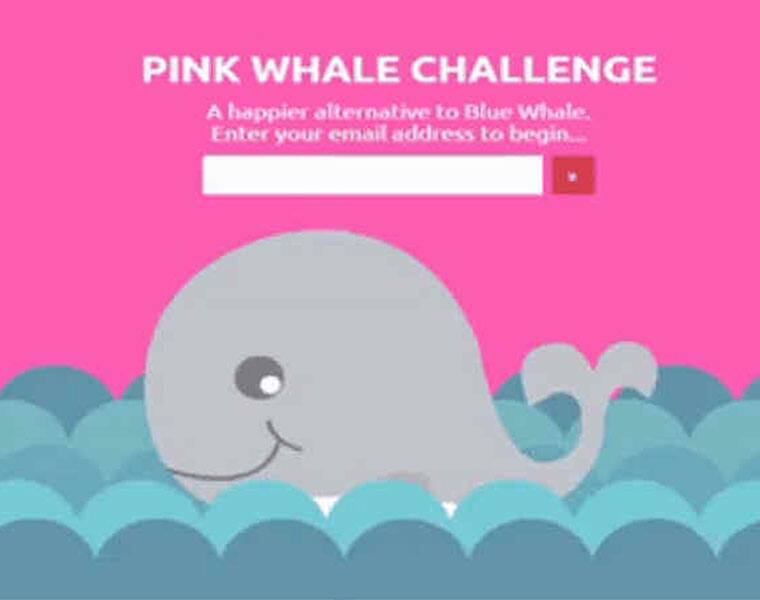 Heard about the Pink Whale challenge Everything you need to know