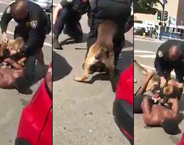 Police dog viciously attacks the handcuffed black man