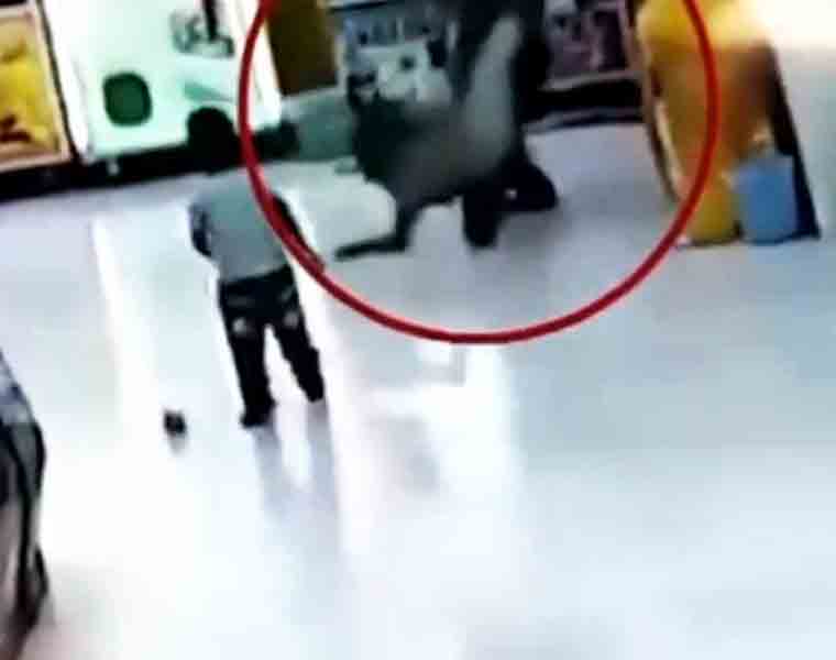 Watch: Daughter beaten horrifically by father in supermarket