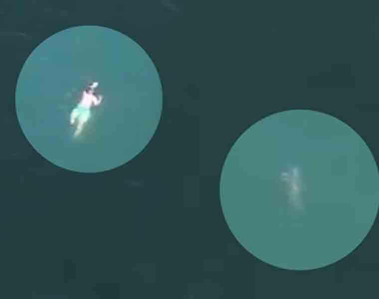 Man jumps into ocean to escape cops, gets threatened by shark instead