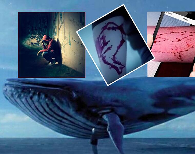 Another Blue Whale challenge victim Chennai girl jumps from 7th floor