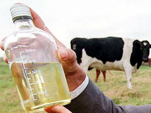 Will 'cow urine hand sanitizer' on Amazon protect you from coronavirus?