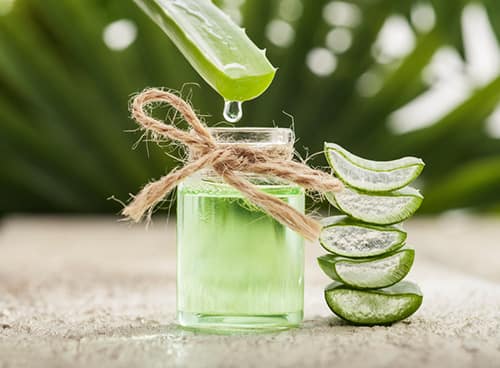 From weight loss to immunity booster to excellent hair, skin: Reasons why you should drink aloe vera juice-dnm