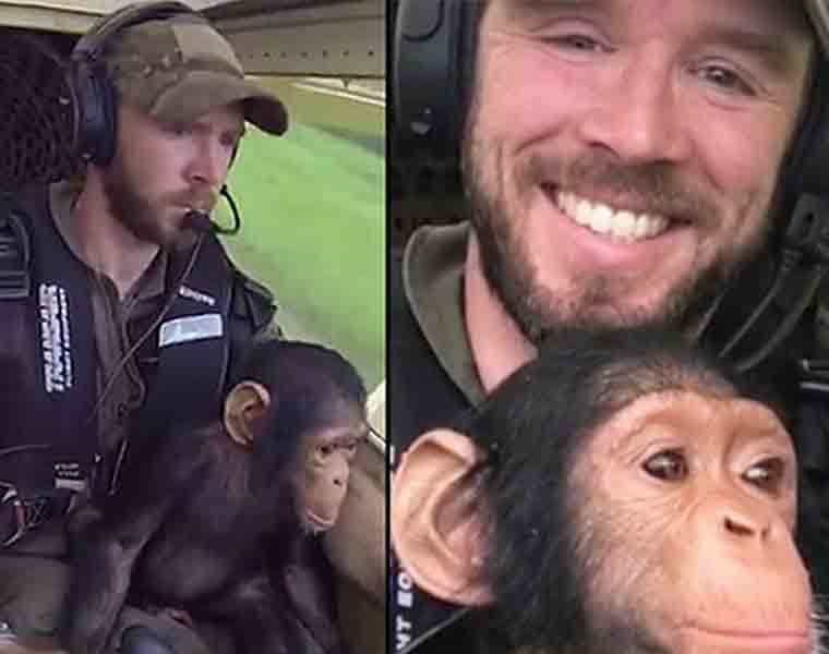 This video of a baby chimpanzee co-piloting his own rescue mission will make your day