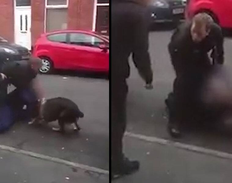 Yikes! This criminal bit off the ear of a police dog to escape arrest