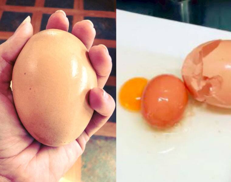 Egg inside another big egg is the next viral thing out on the internet