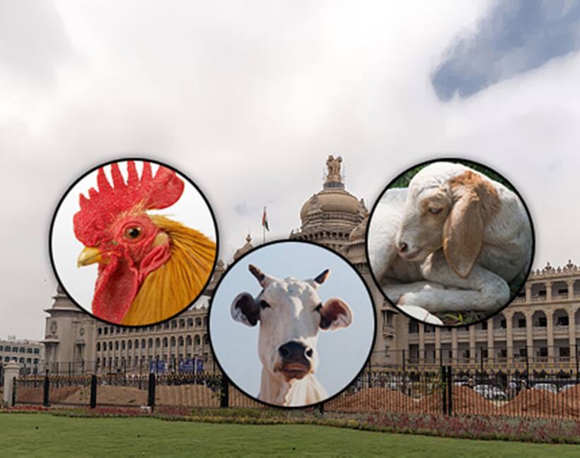 Karnataka Assembly not only discussing cows but chicken and sheep too!