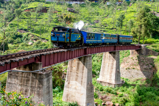 British Couple Trip To Nilgiri Hills for honey moon