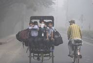 Delhi to get bi-weekly pollution action plan: Here is how it will impact environment