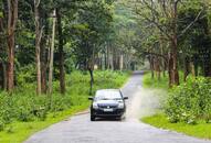 Maharashtra Road Trip Guide - Witness Jaw-Dropping Views!