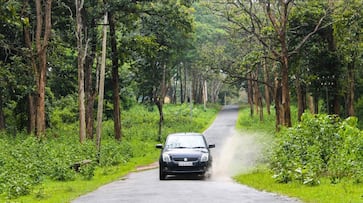 Maharashtra Road Trip Guide - Witness Jaw-Dropping Views!