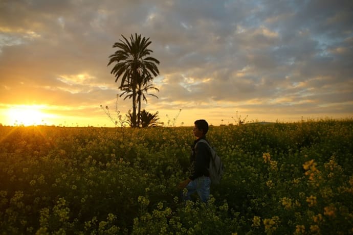 In pics: World celebrates the arrival of spring season