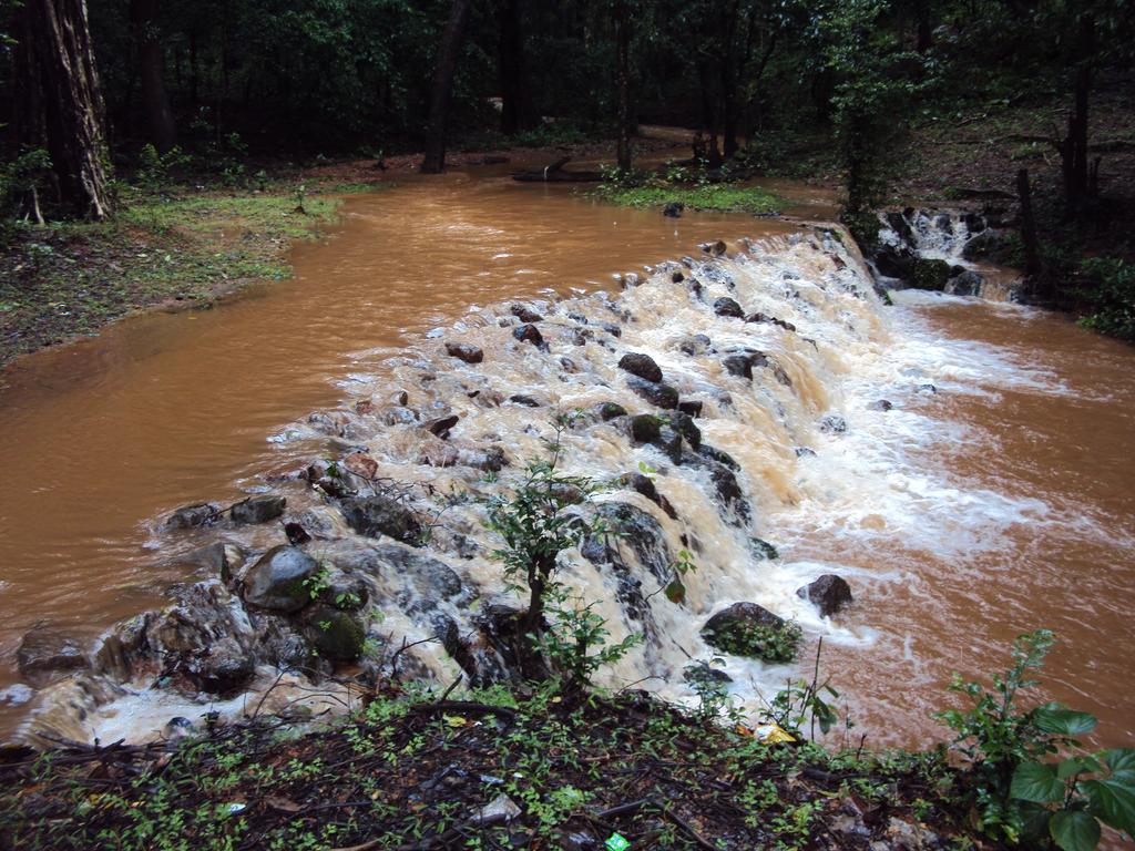 Monsoon in Kerala kills 10, heavy rains to lash the state till June 13