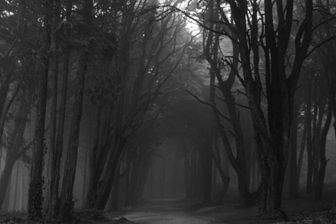 5 haunted places in Kerala where nobody dares to go