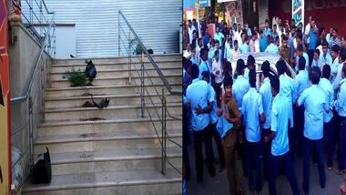 Cauvery Row: People unite against PMK members, bash them for forcefully shutting shops in TN