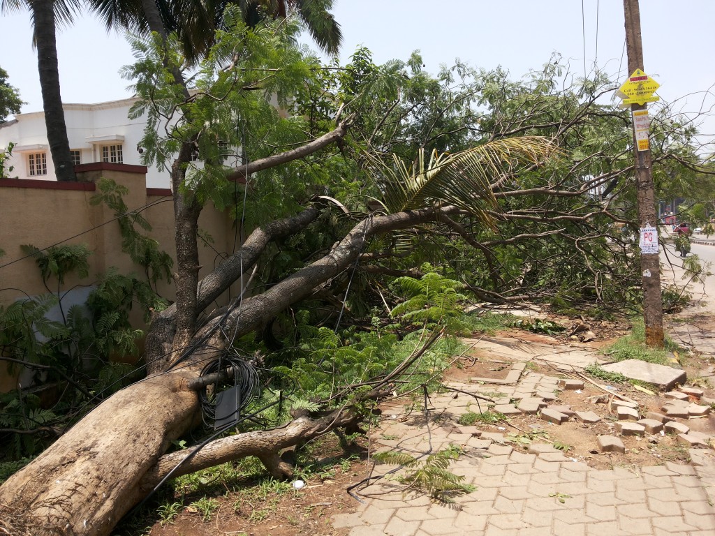 Rain Havoc: 90 electricity poles uprooted, Bengaluru in darkness