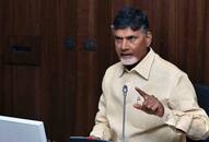 Chandrababu Naidu hits out at Jagan, Sharmila for questioning Andhra Pradesh Police