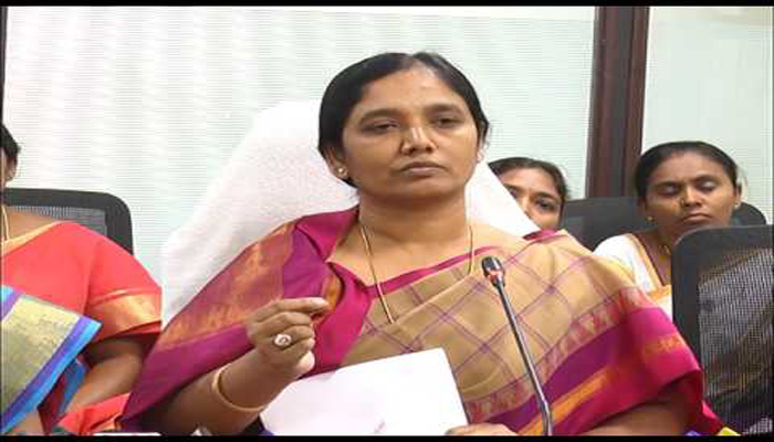 AP ex minister paritala sunitha sensational comments on ycp leaders