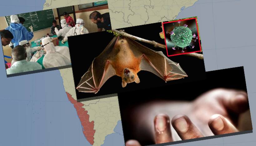 Nipah Virus: Hospitals and neighbouring states on high alert