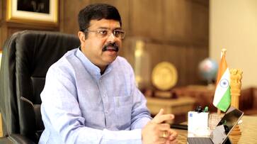 Boost to India-UAE relations, Dharmendra Pradhan explores steel exports possibilities