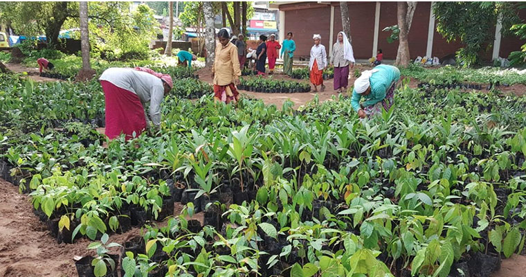 Kerala offices to be 100% environment-friendly from today, here is how