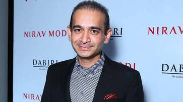 Nirav Modi Gujarat court fugitive absconder Punjab National Bank fraud