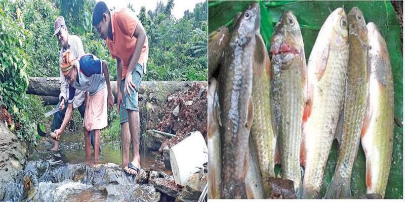 Fishing in Malenadu