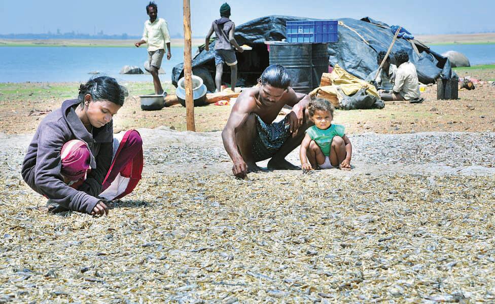 Fishing is livelihood for Tunga Badra basin people