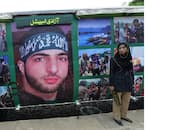 Three decades later, Burhan Wani's hometown Tral free of Hizbul Mujahideen terrorists