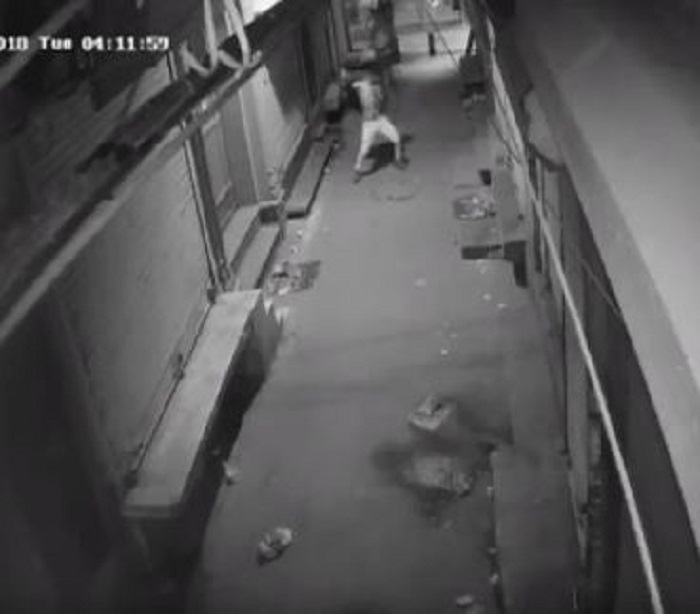 Watch: Delhi Thief's Dance Caught On Camera Before Attempted Break-In