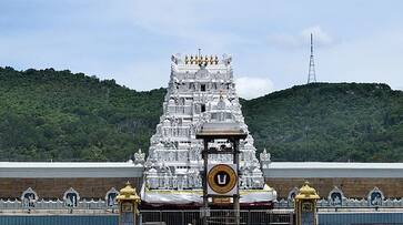 NRI devotees donate Rs 13.5 crore to Lord Venkateswara