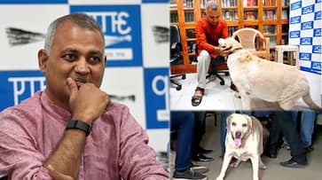 The dog that got Somnath Bharti arrested passes away