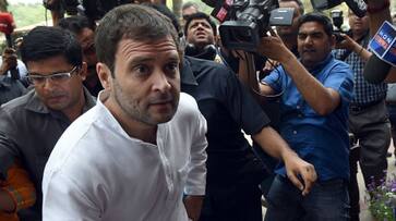 Congress can't figure out how to fight 'Muslim party' image: Rahul Gandhi seeks answers from spokespersons