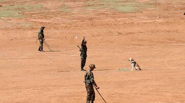 Special show to salute Nation’s four-legged soldiers ahead of Kargil Vijay Diwas