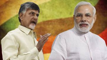 No confidence motion result of relentless agitation of TDP: Chandrababu Naidu to MPs