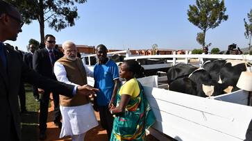 Why PM Narendra Modi gifted 200 cows to a ramshackle village in Rwanda?