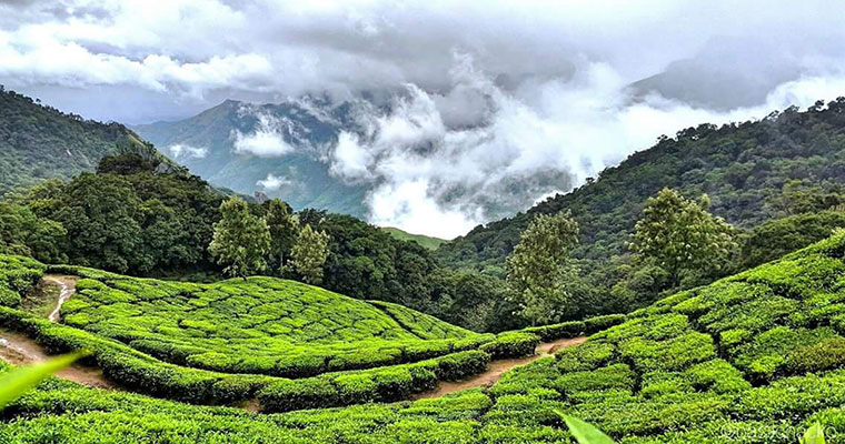 Kerala tourism loss by flood