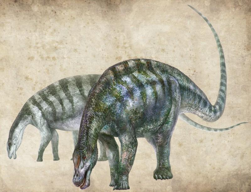 fossils that are rewriting the history of the long necked dinosaurs