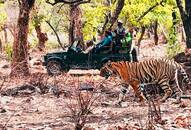 World Tiger Day: A trip to Ranthambore and up close and personal with the majestic predator